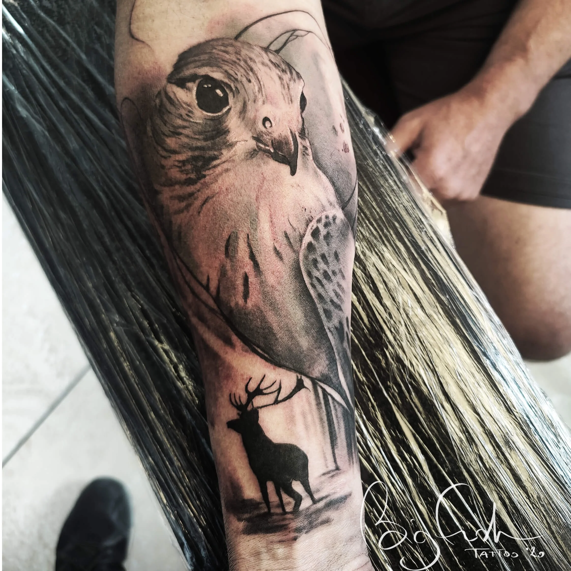 tattoo-falcon-realism-blackandgrey-artist-new-zealand-tauranga.jpg.JPG