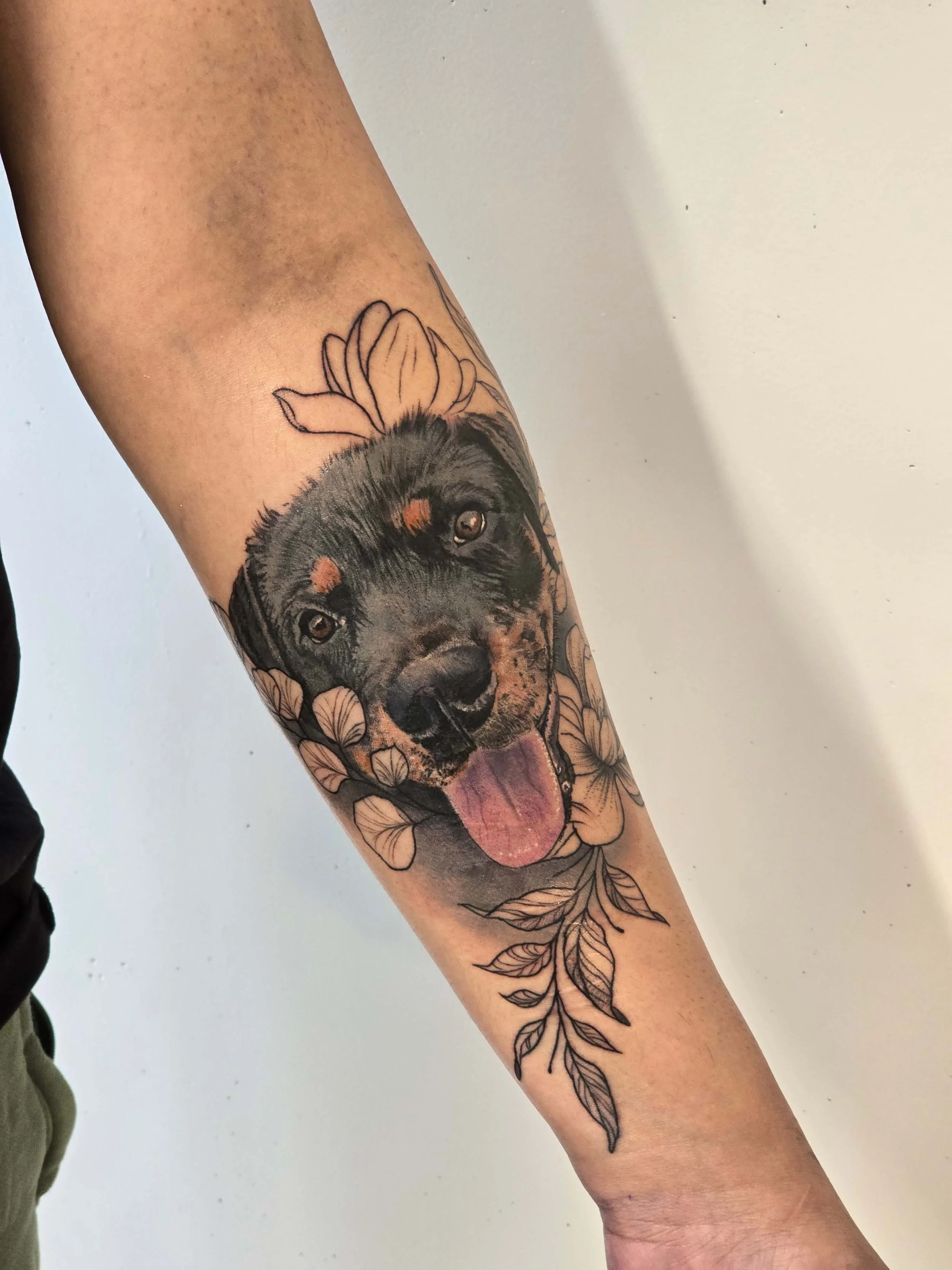tattoo-dog-portrait-realism-colour-artist-new-zealand-tauranga.jpg.jpg