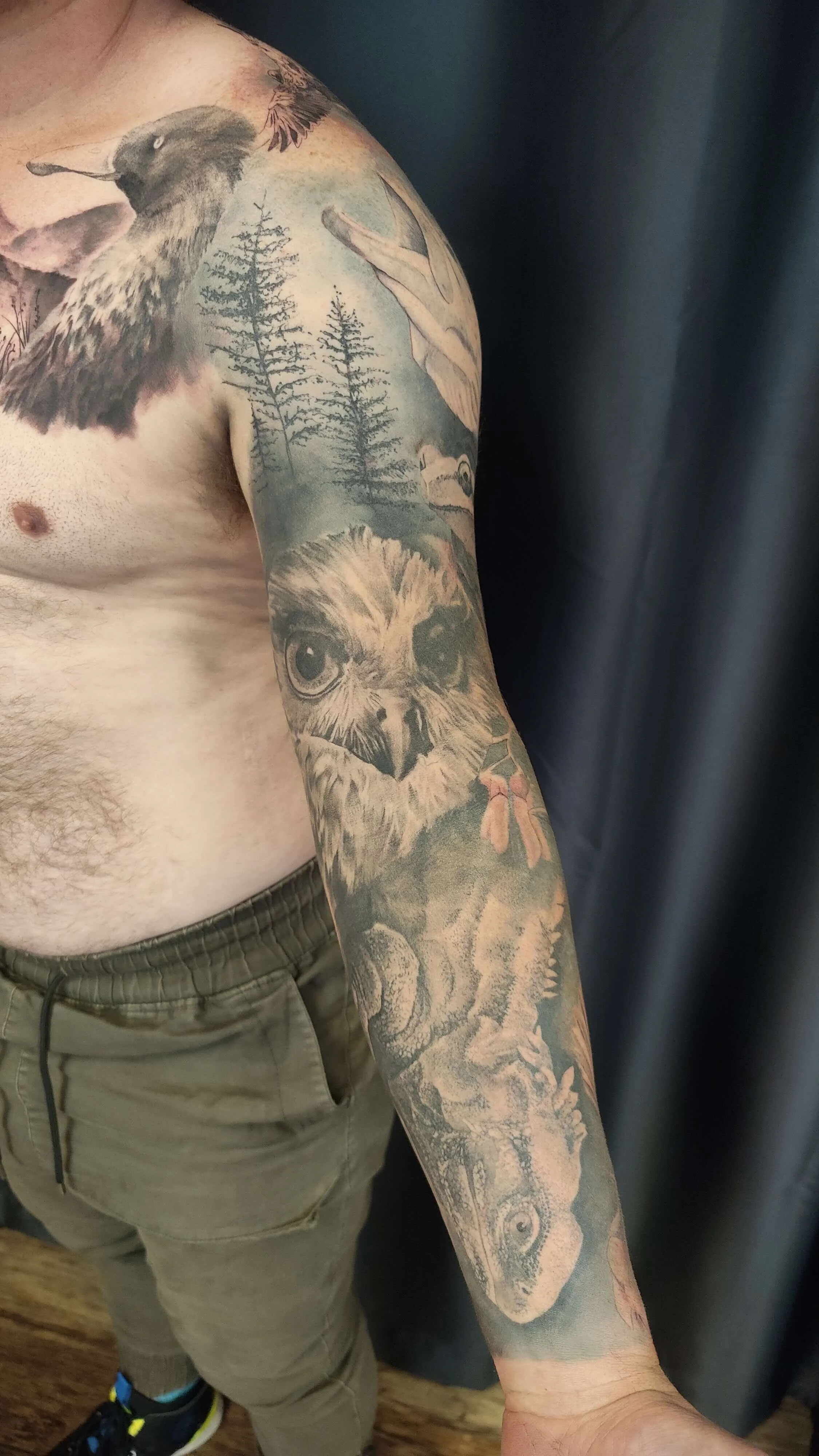 tattoo-native-animals-realism-black-and-grey-artist-new-zealand-tauranga.jpg.jpg