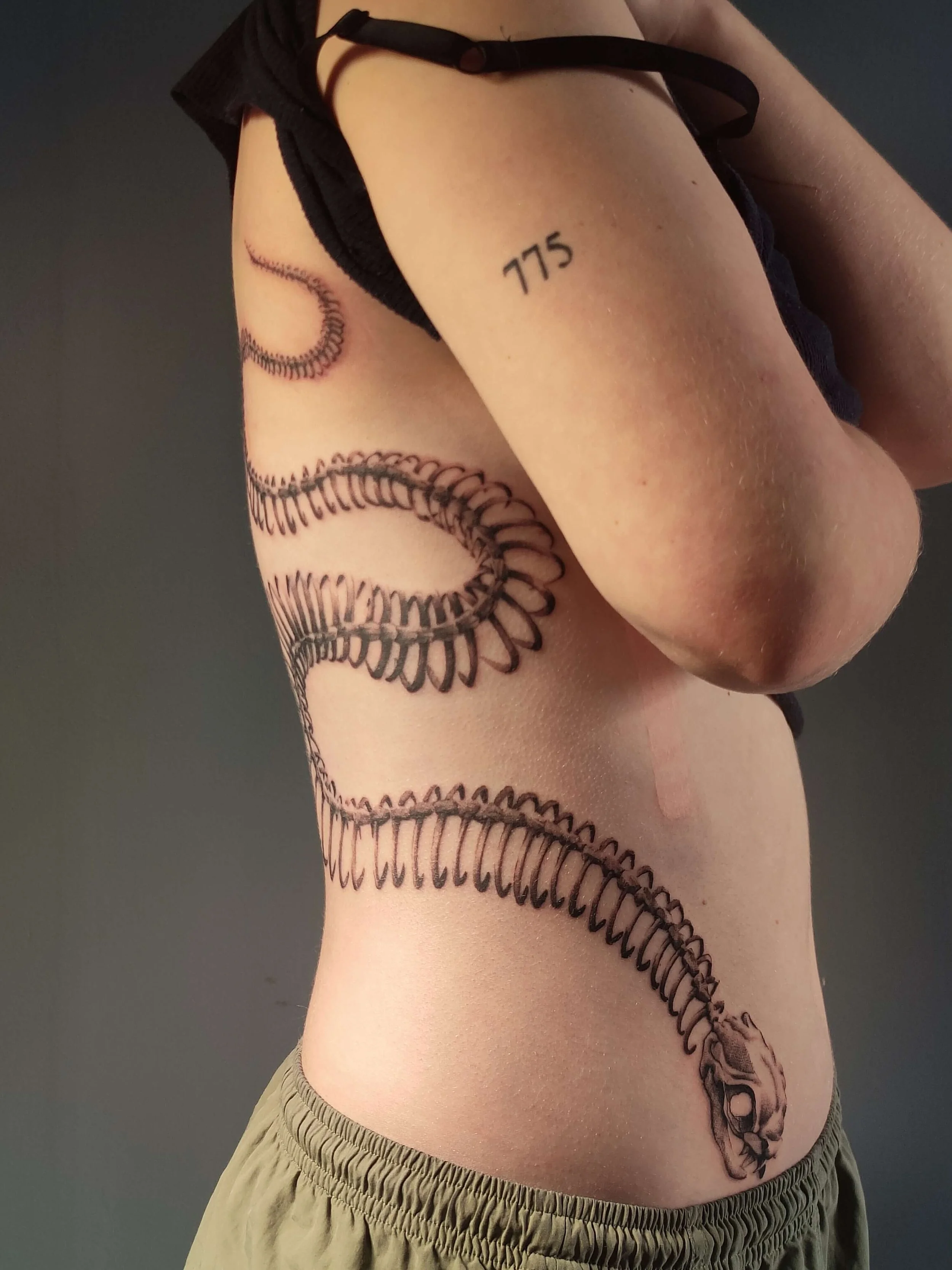 tattoo-snake-freehand-sketchy-artist-tauranga.jpg.jpg