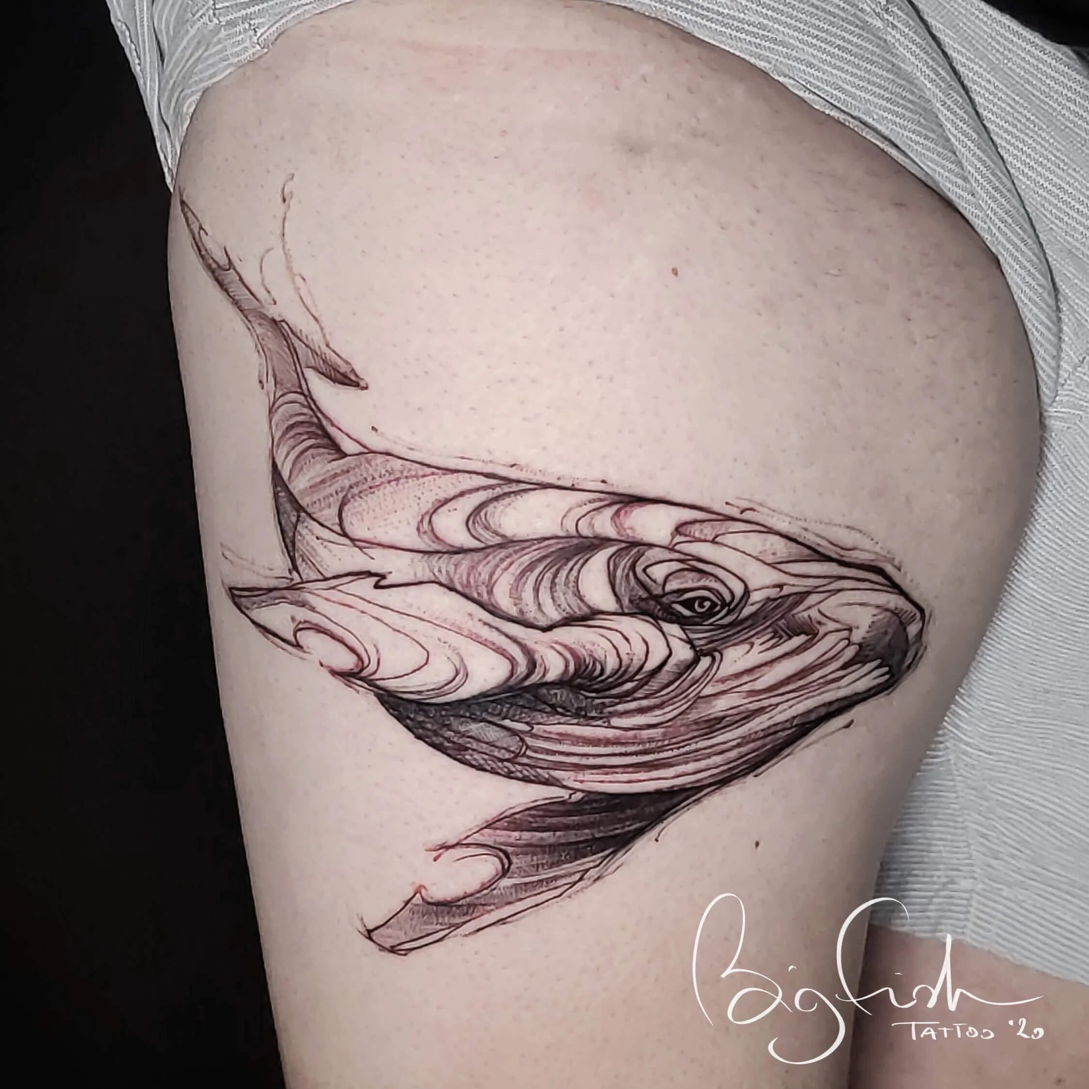 tattoo-whale-sketchy-style-drawing-art-tauranga-new-zealand.jpg.JPG