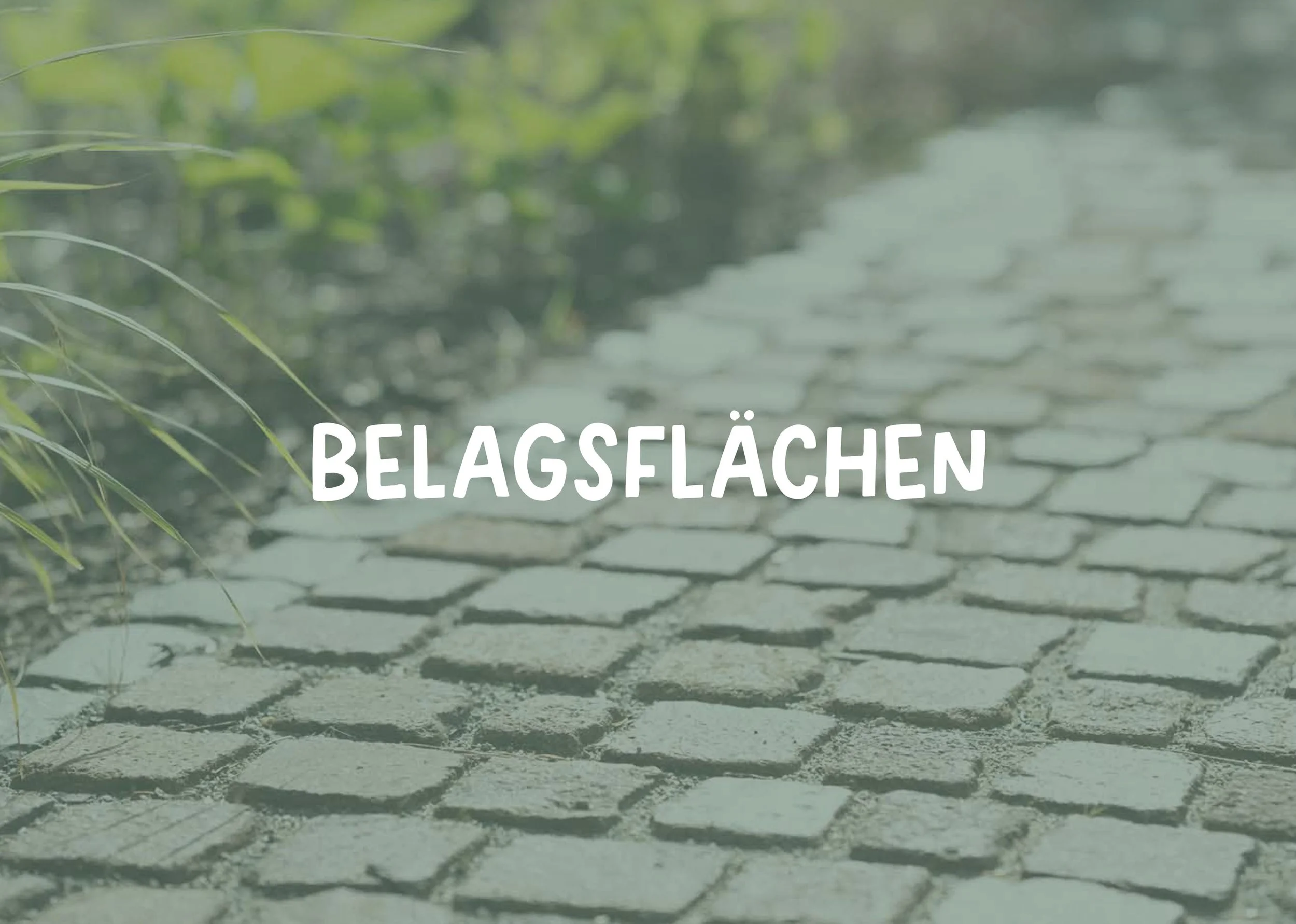 lg_leistungen_thumbnail_03.jpg
