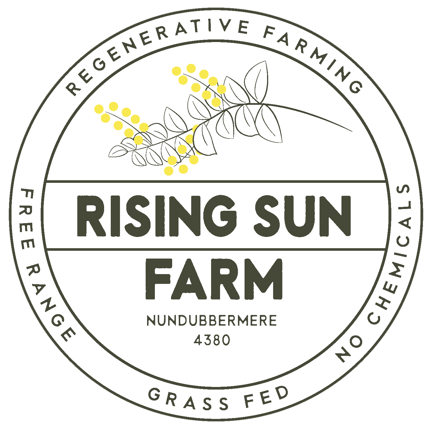 Rising Sun Farm