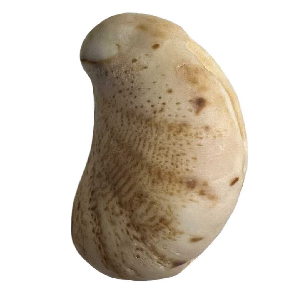 23.png