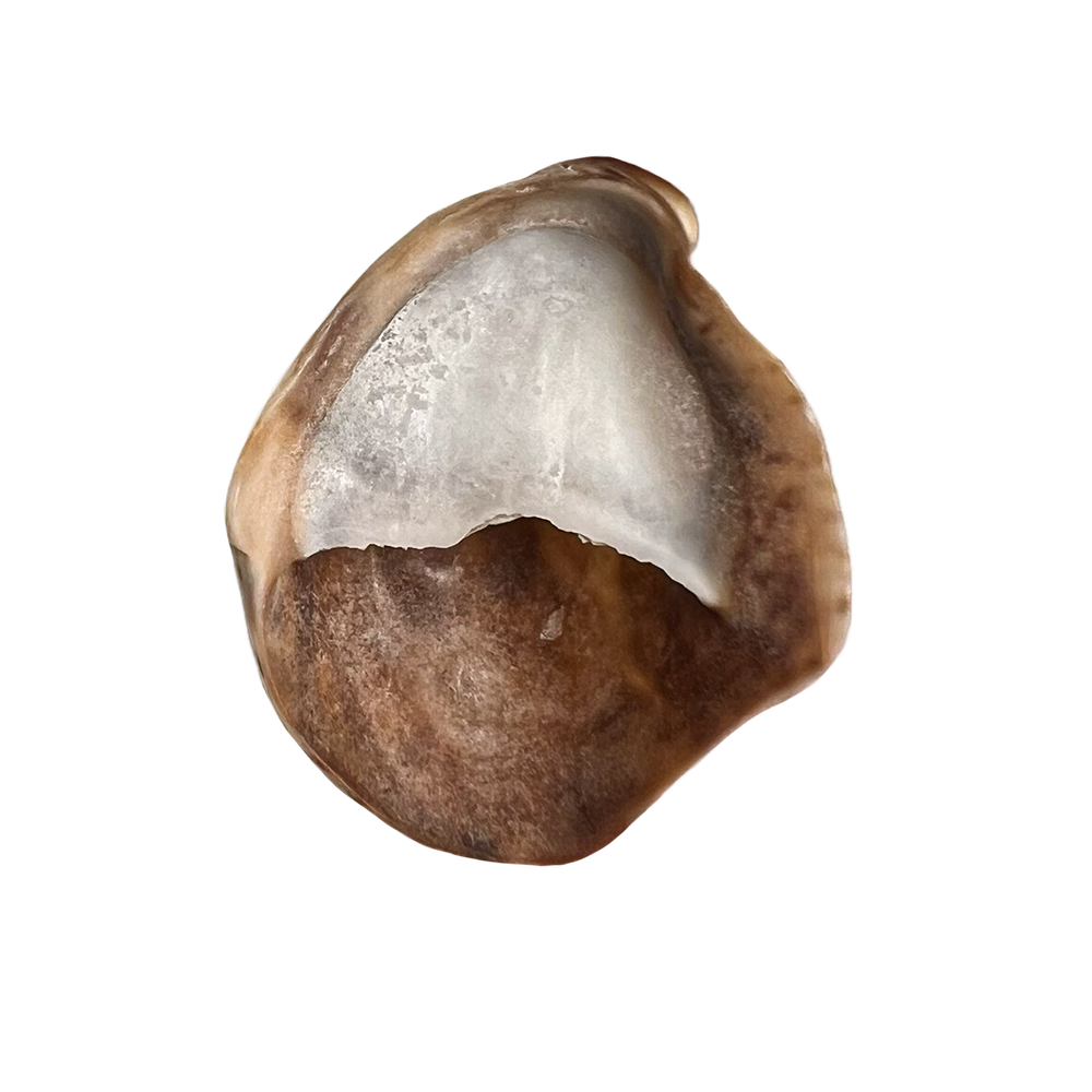 88.png