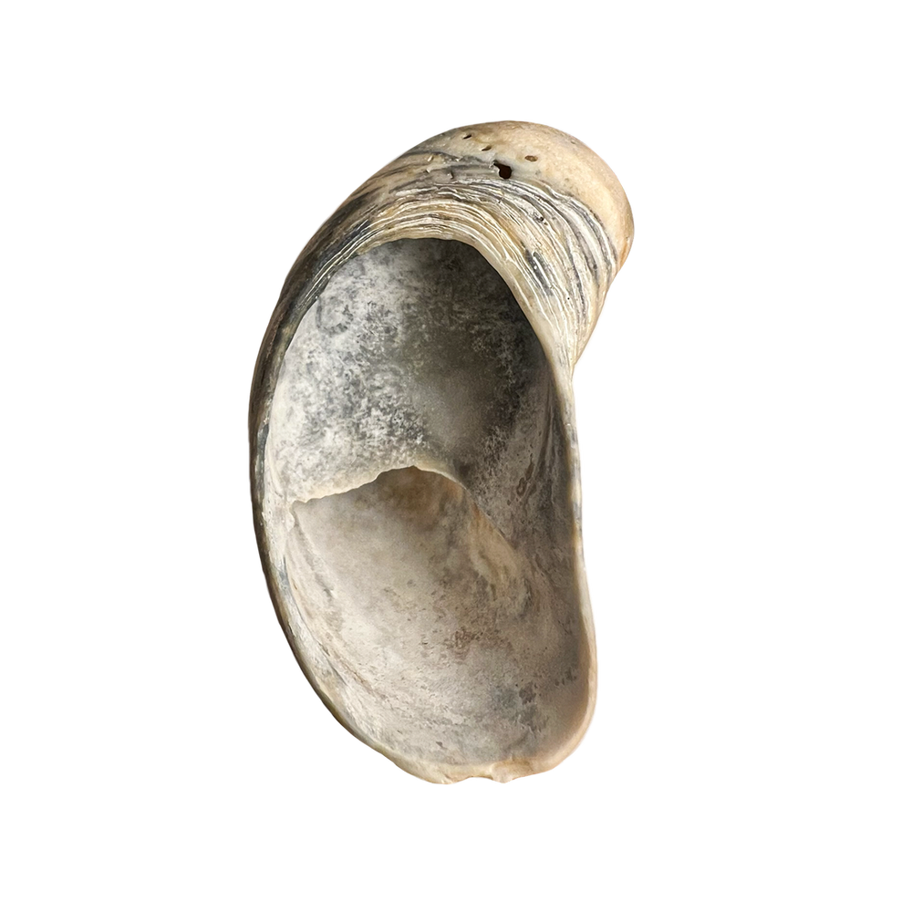 111.png