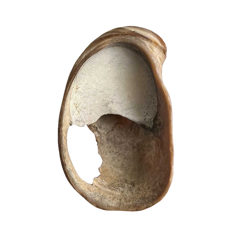 122.png