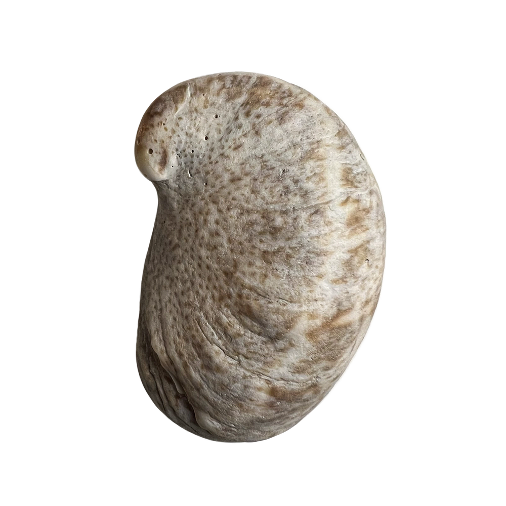 9.png