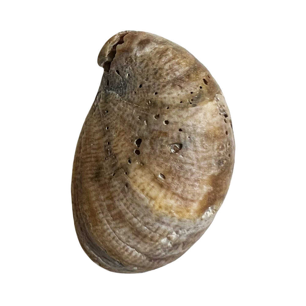 10.png
