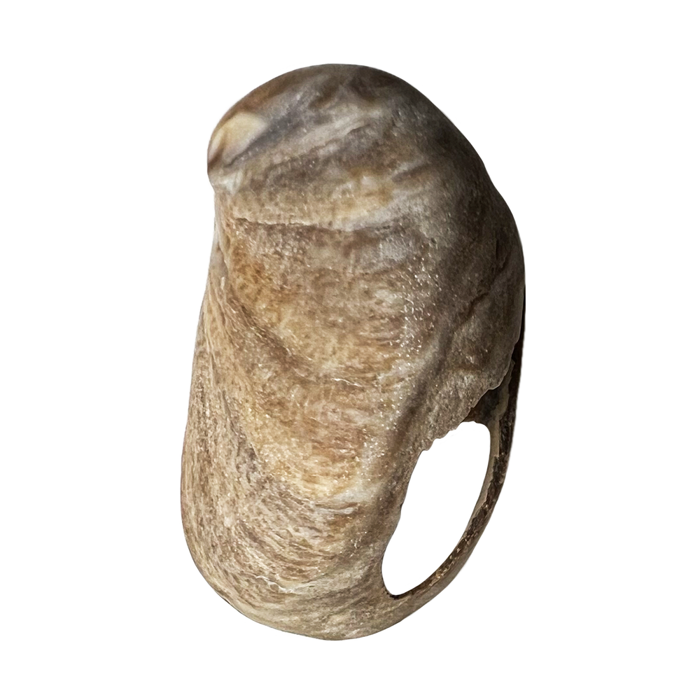 12.png