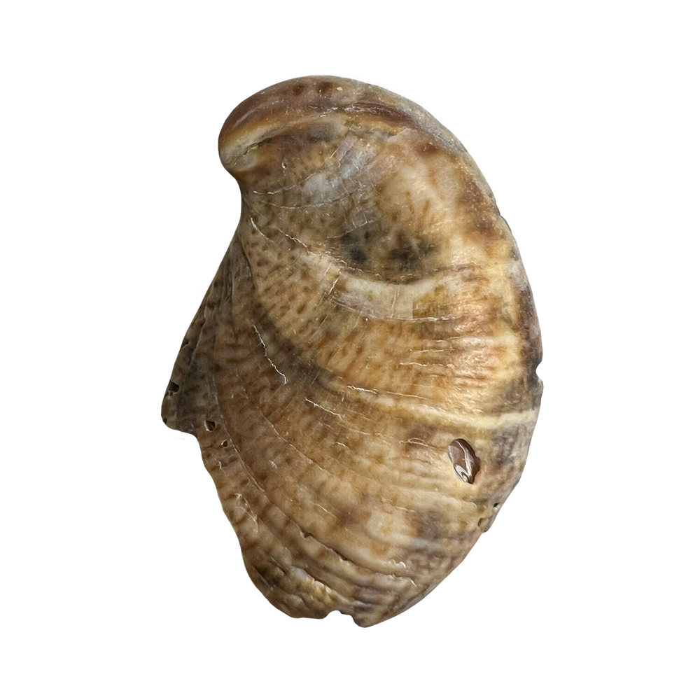 13.png