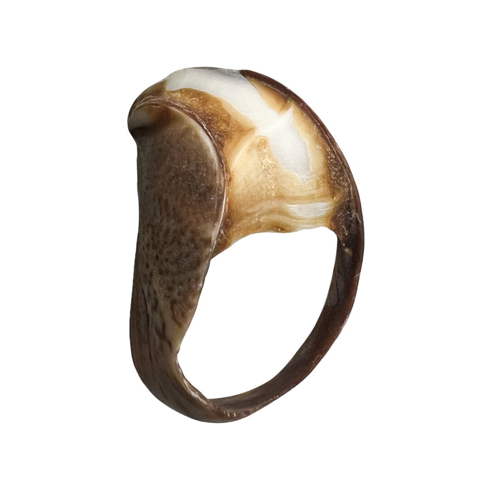14.png