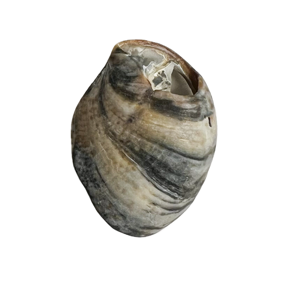 15.png