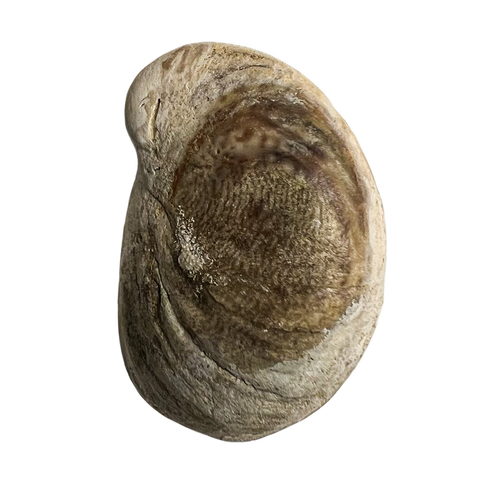 17.png