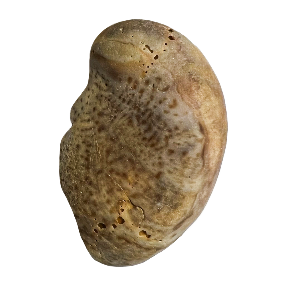 18.png