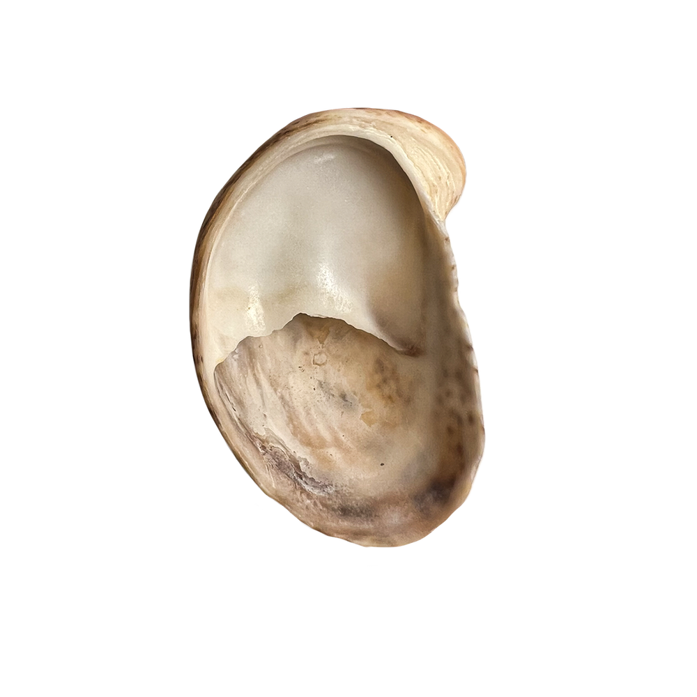 77.png