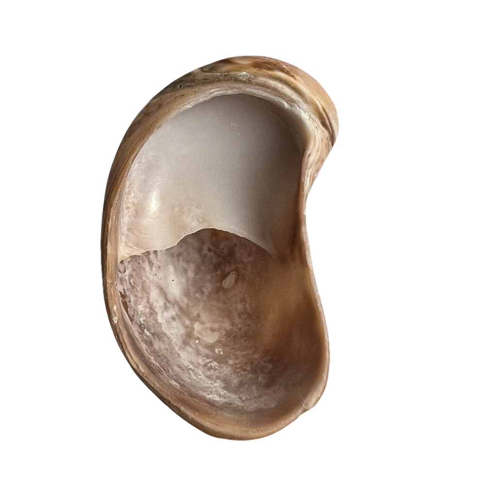 44.png