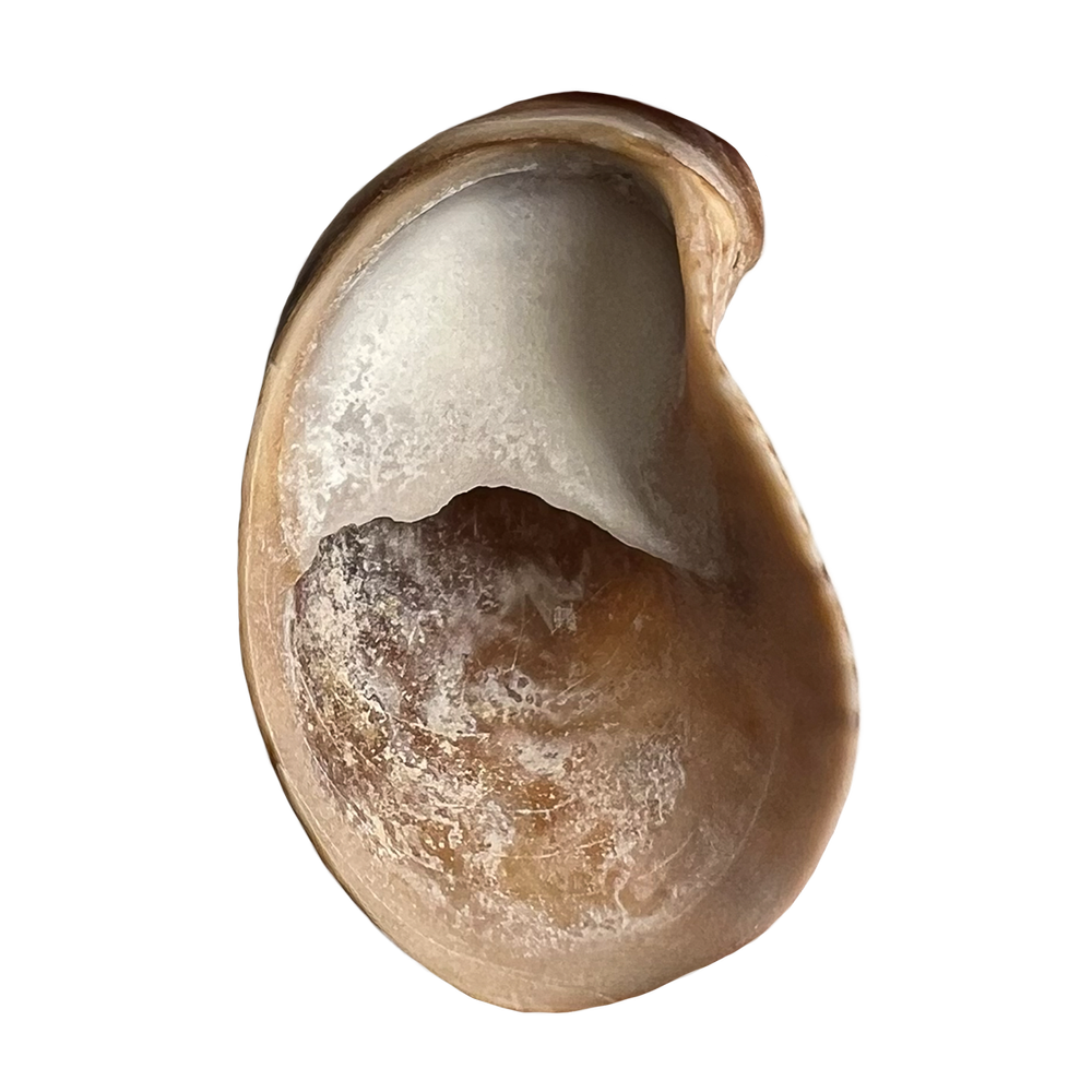 11.png