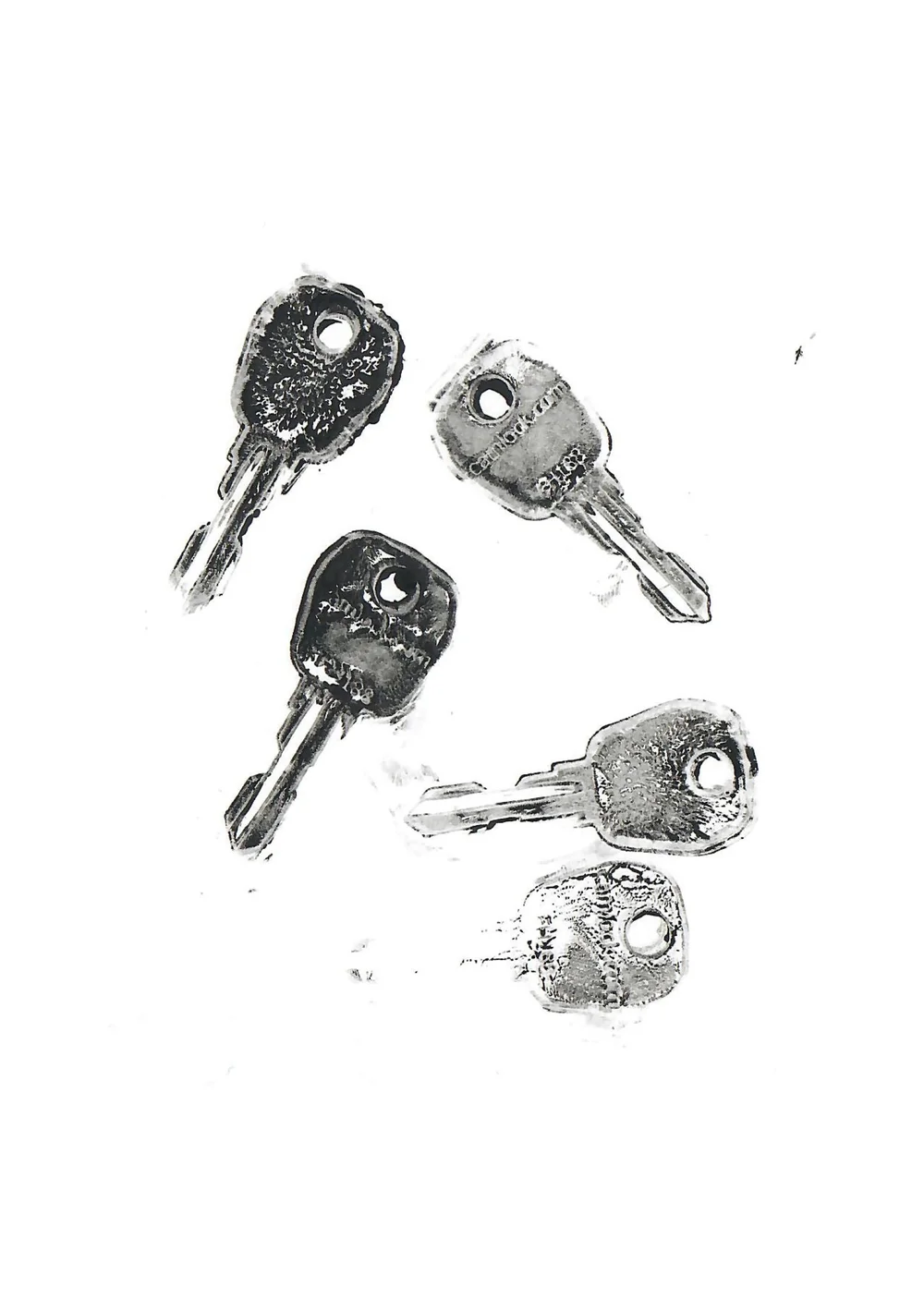 scans 37.jpg