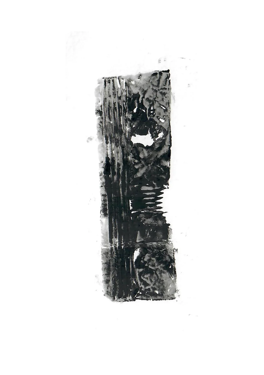 scans 5.jpg