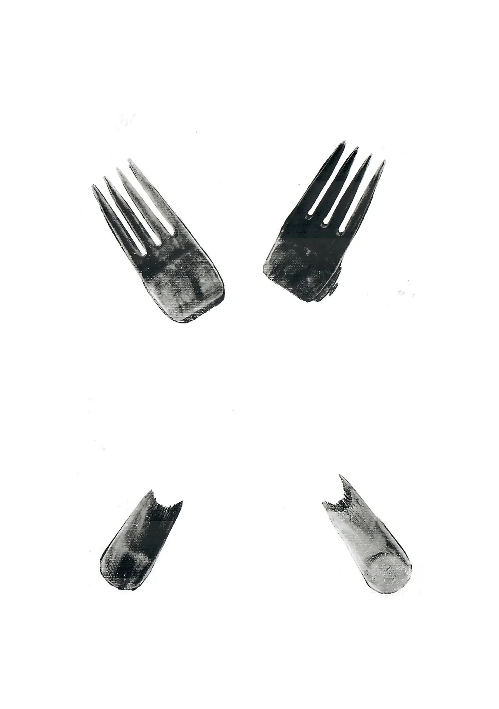 scans 3.jpg
