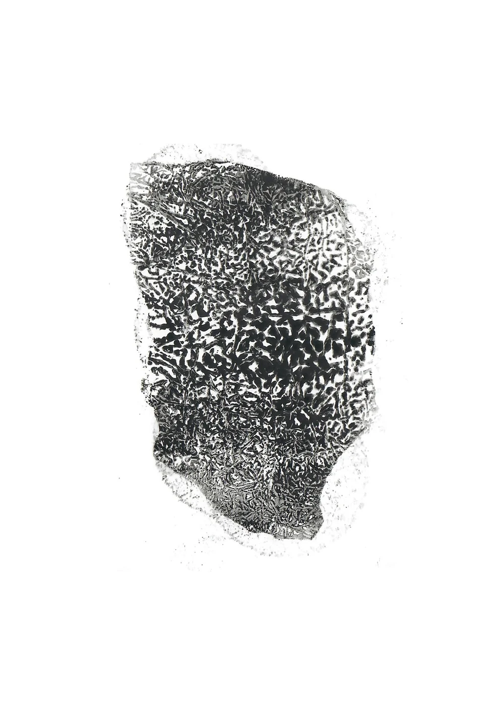 scans 27.jpg
