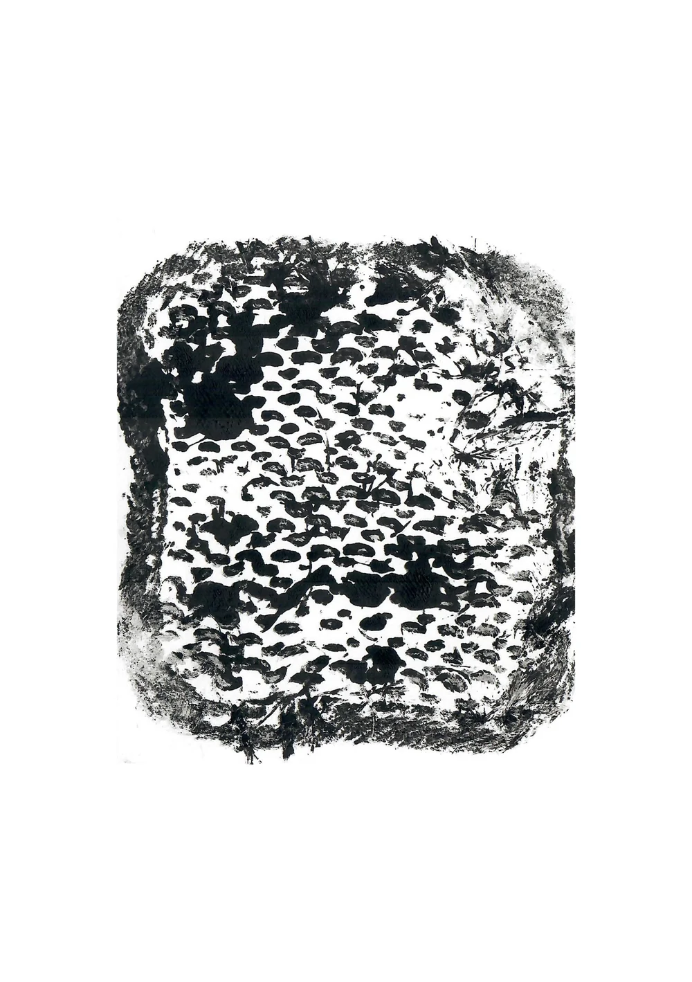 scans 26.jpg