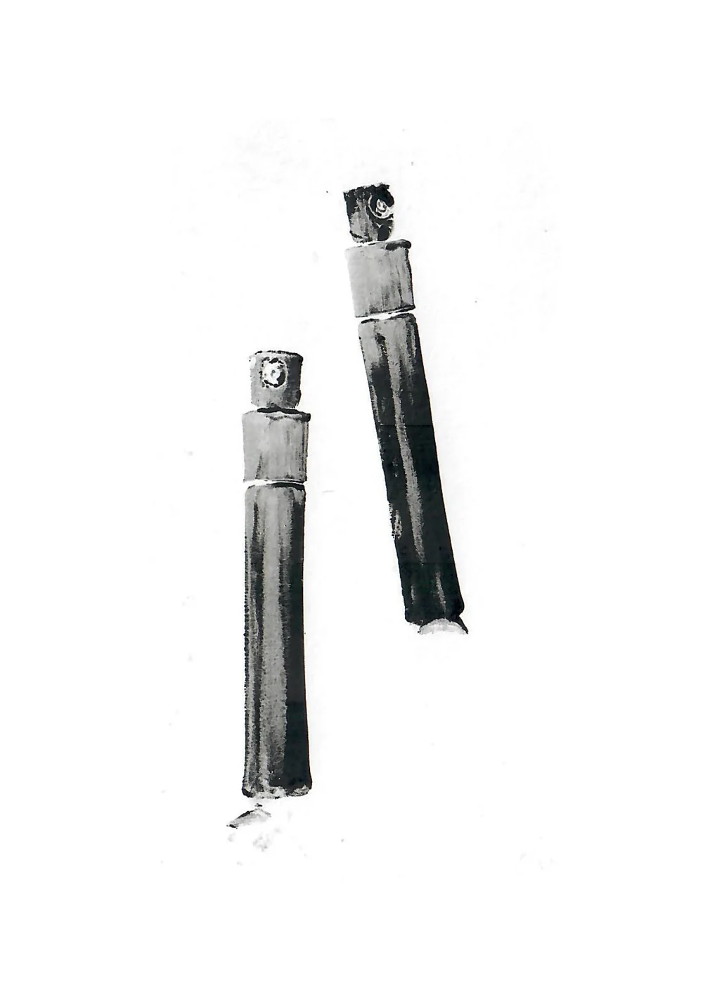 scans 7.jpg