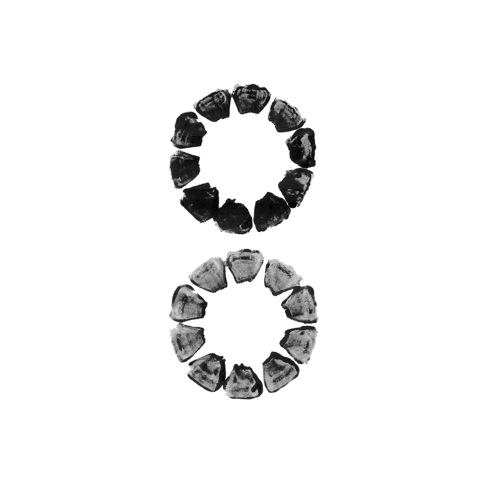 Untitled_Artwork-24 2.png