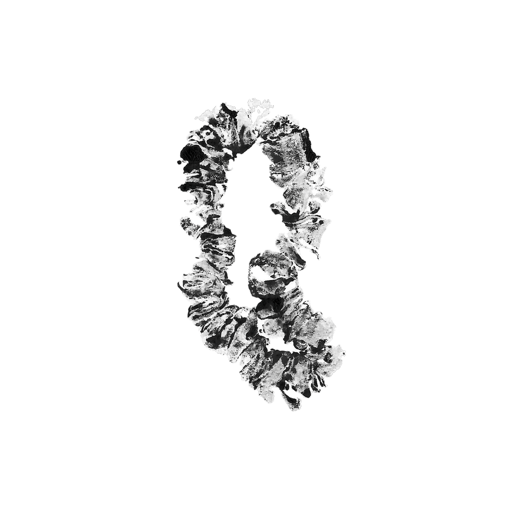 Untitled_Artwork-6 3.png
