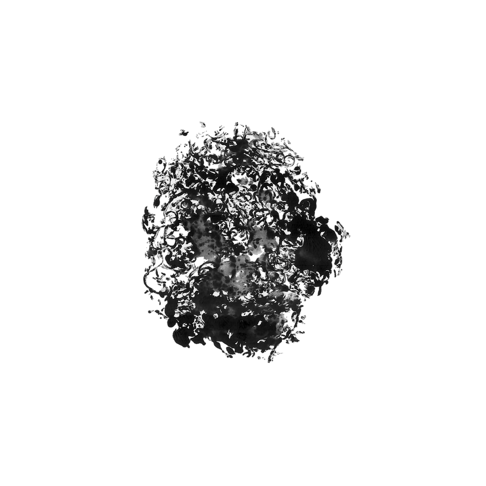 Untitled_Artwork-12 3.png