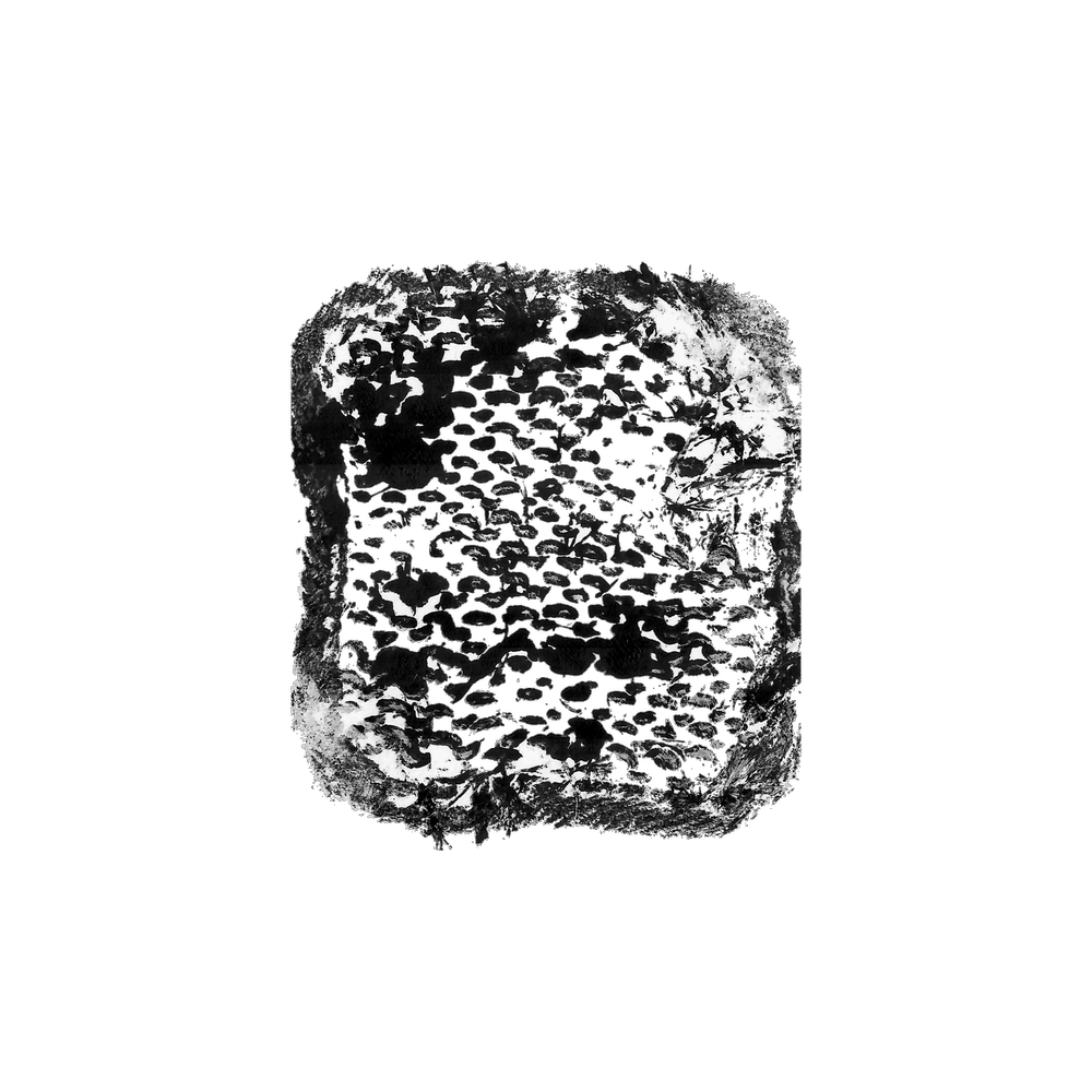 Untitled_Artwork-14 2.png
