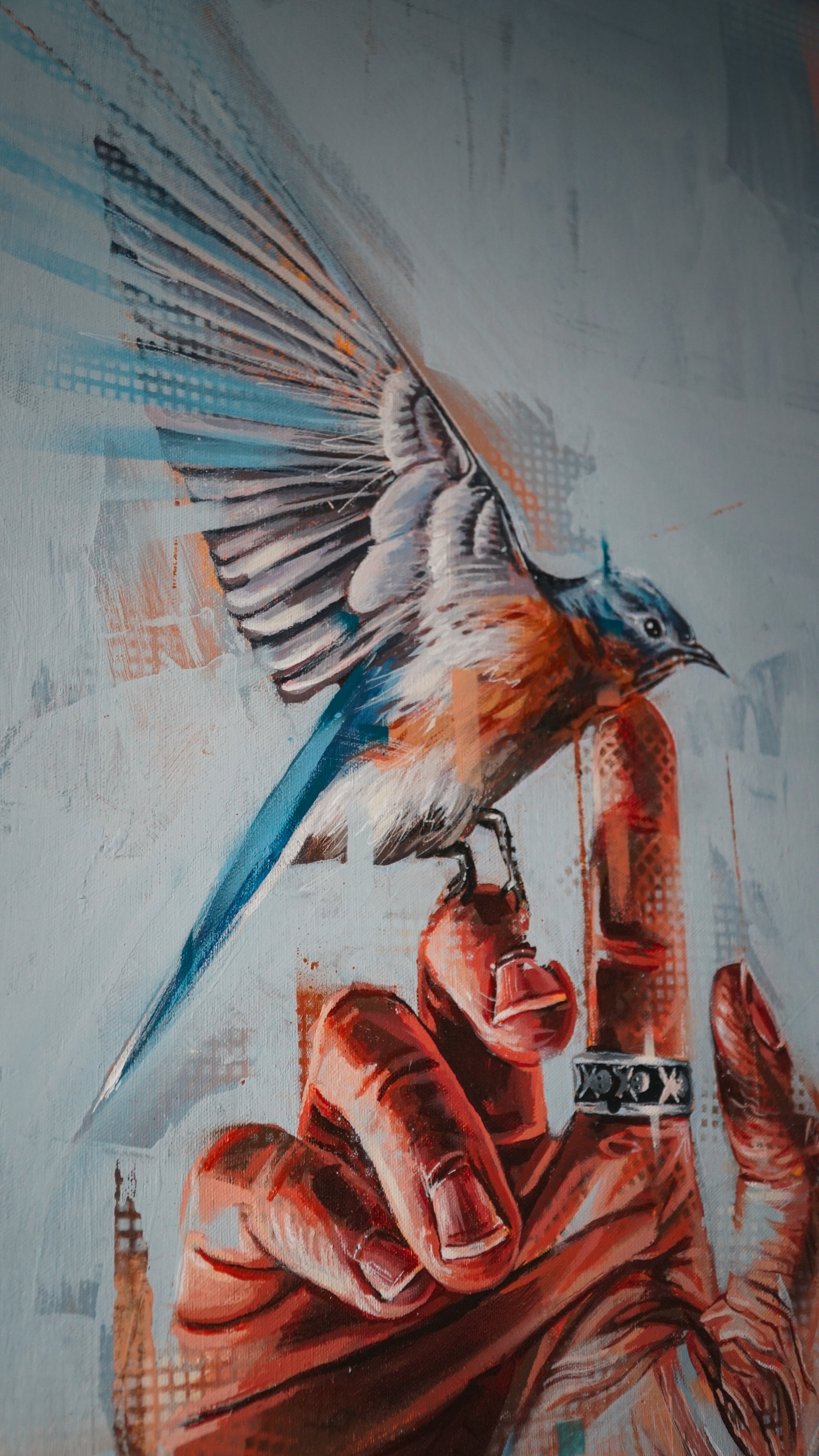 DSC07902-2.jpg