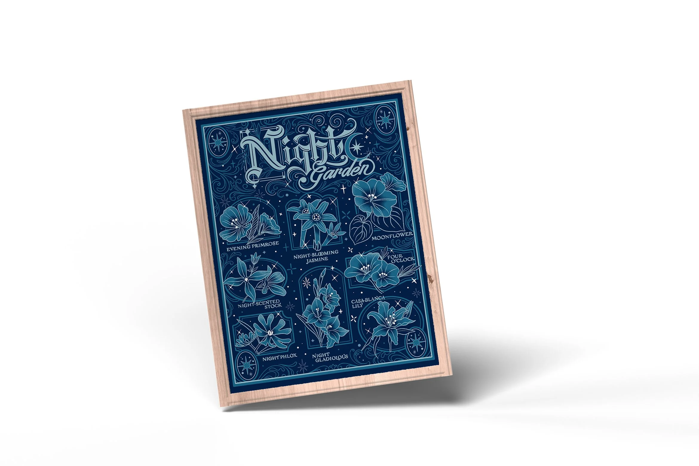 Night Garden 11x14-3.jpg