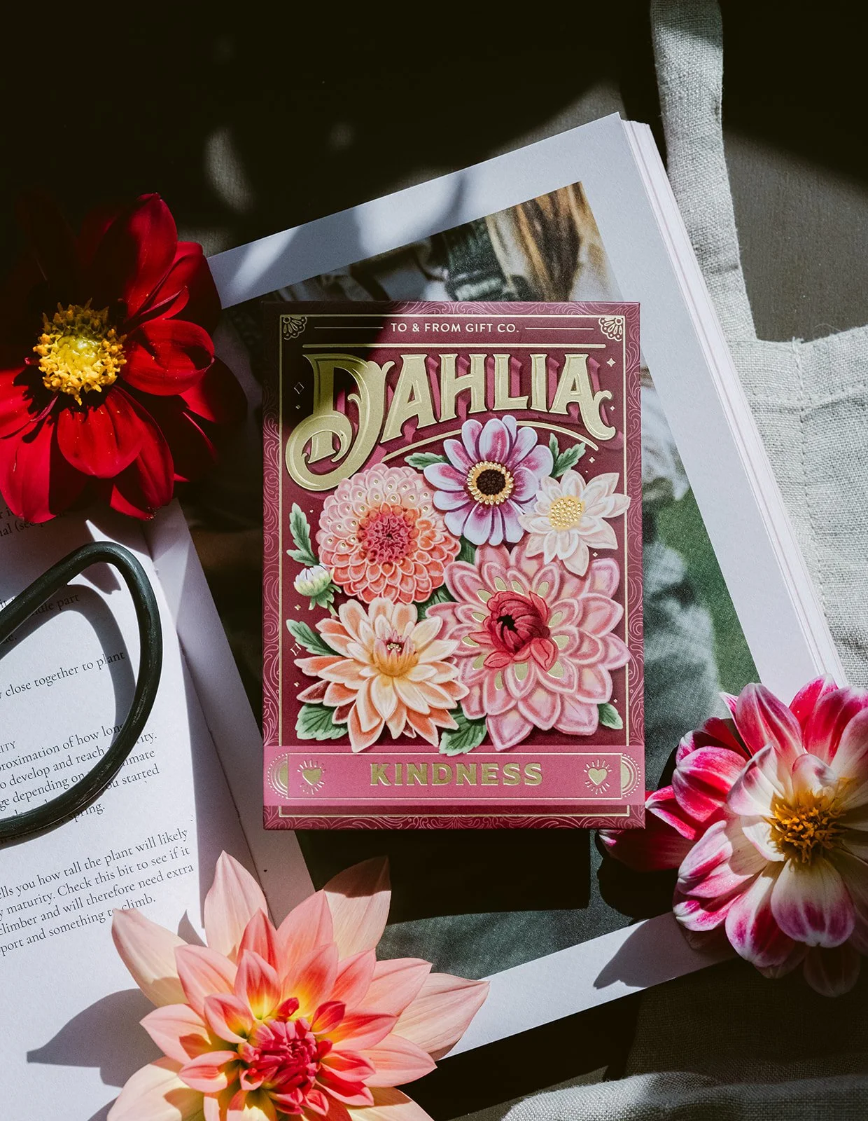 Wild Woodland Strawberries (Love & Luck) - Seed Packet — To & From