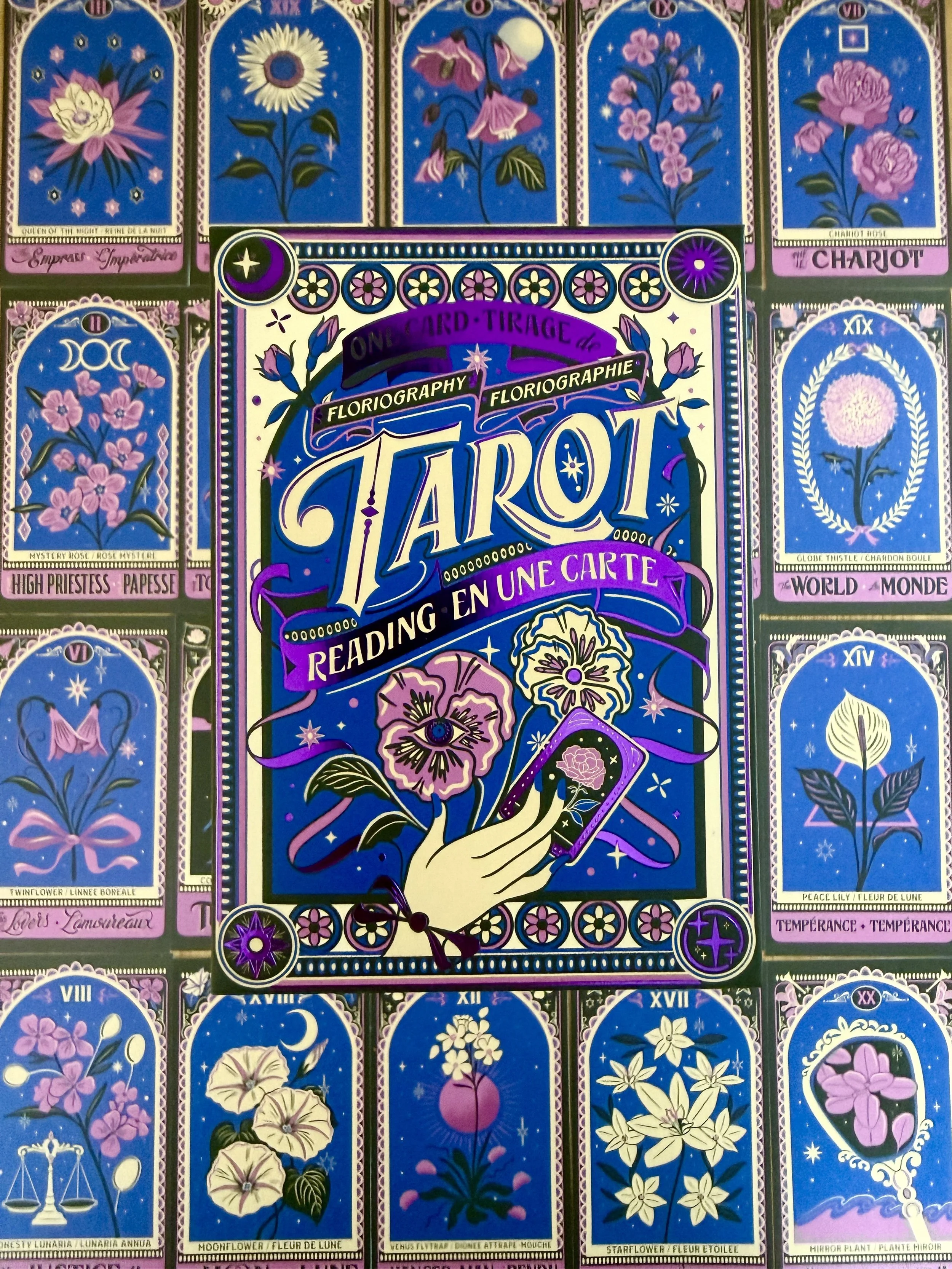 One-Card Tarot Reading