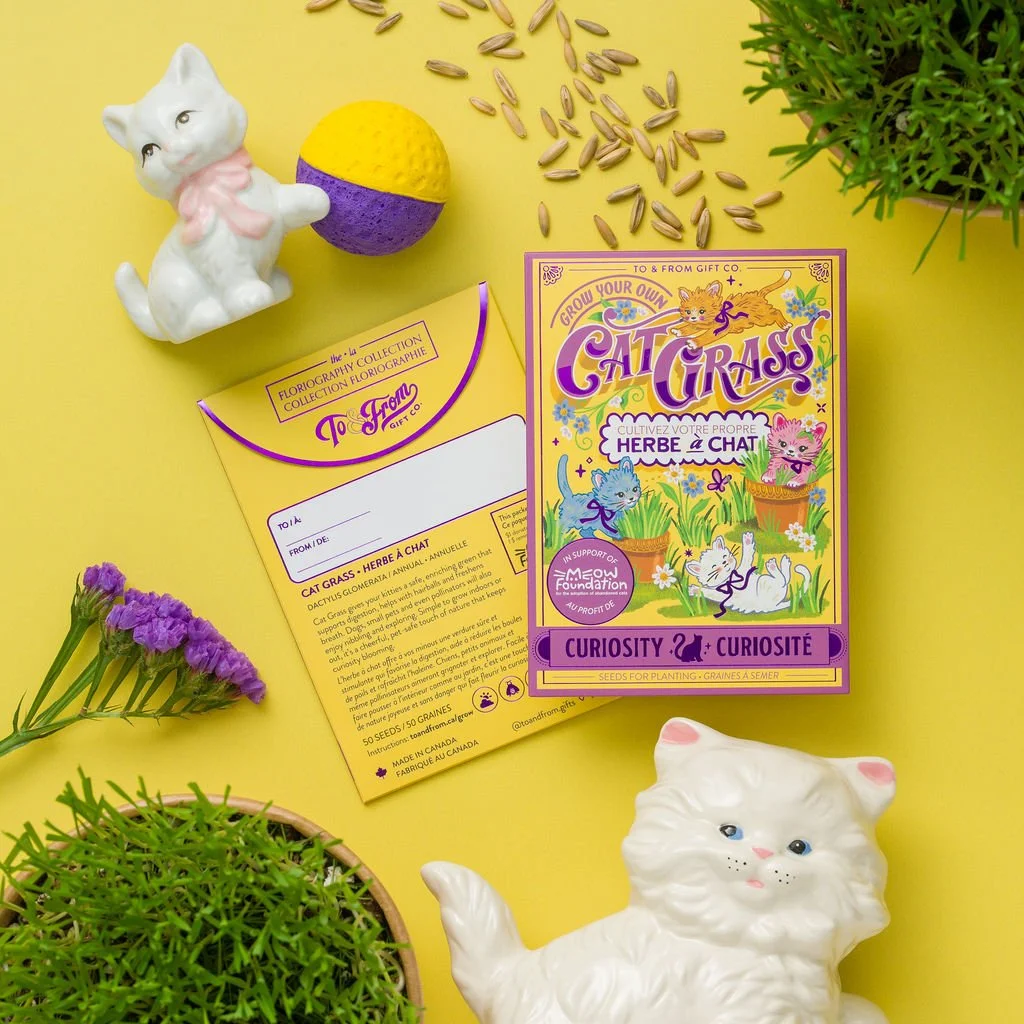 Cat Grass (Curiosity) - Seed Packet