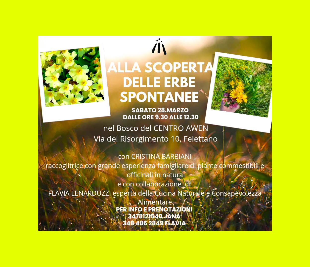 Alla scoperta delle erbe spontanee