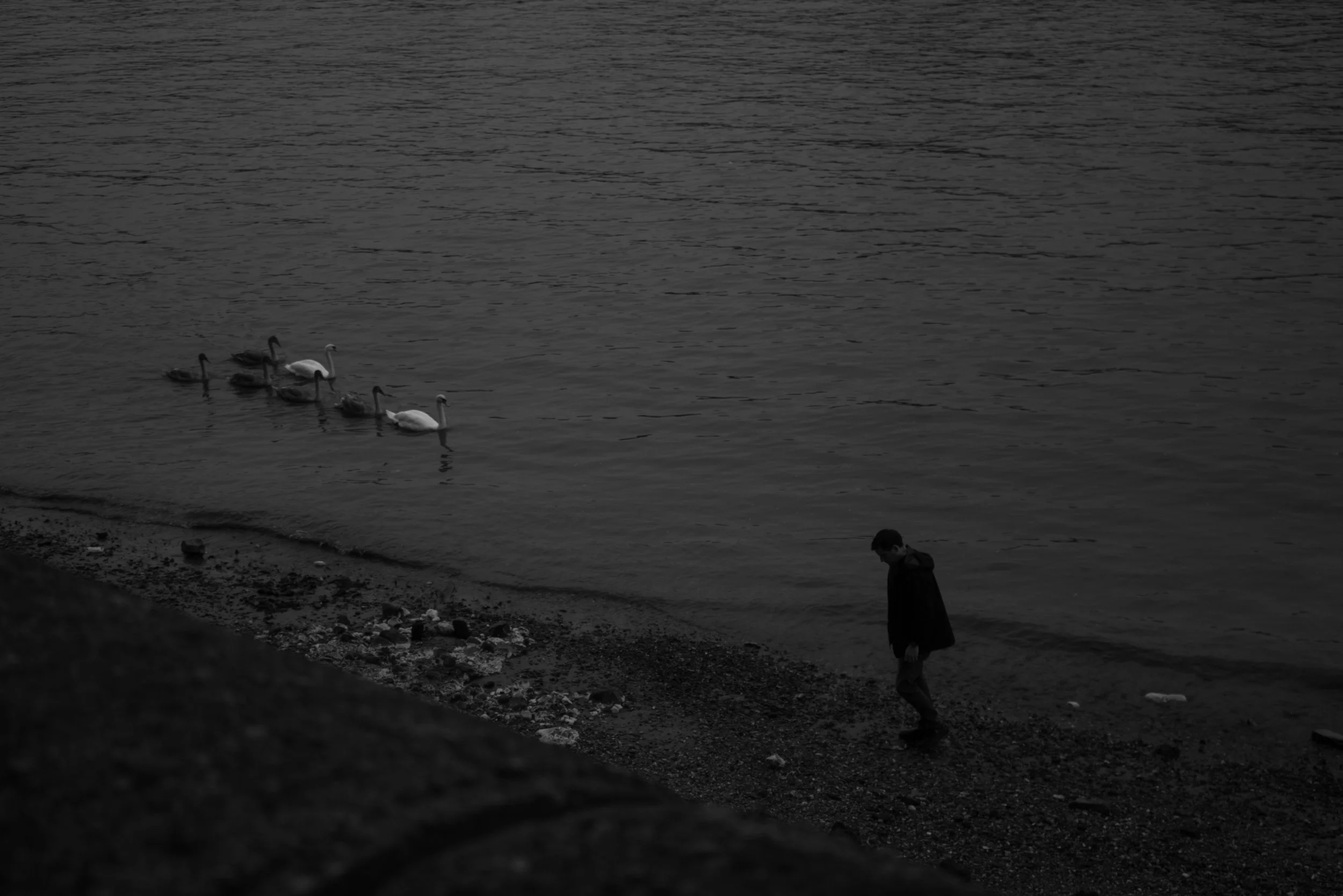 untitled-32.jpg