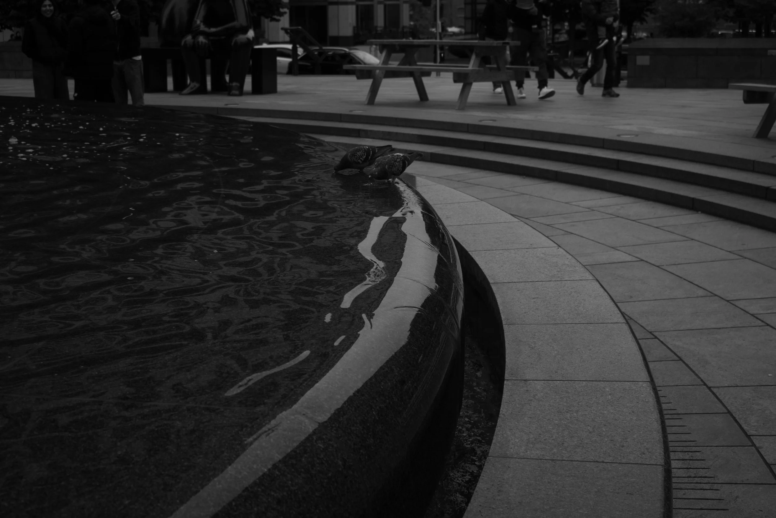 untitled-14.jpg