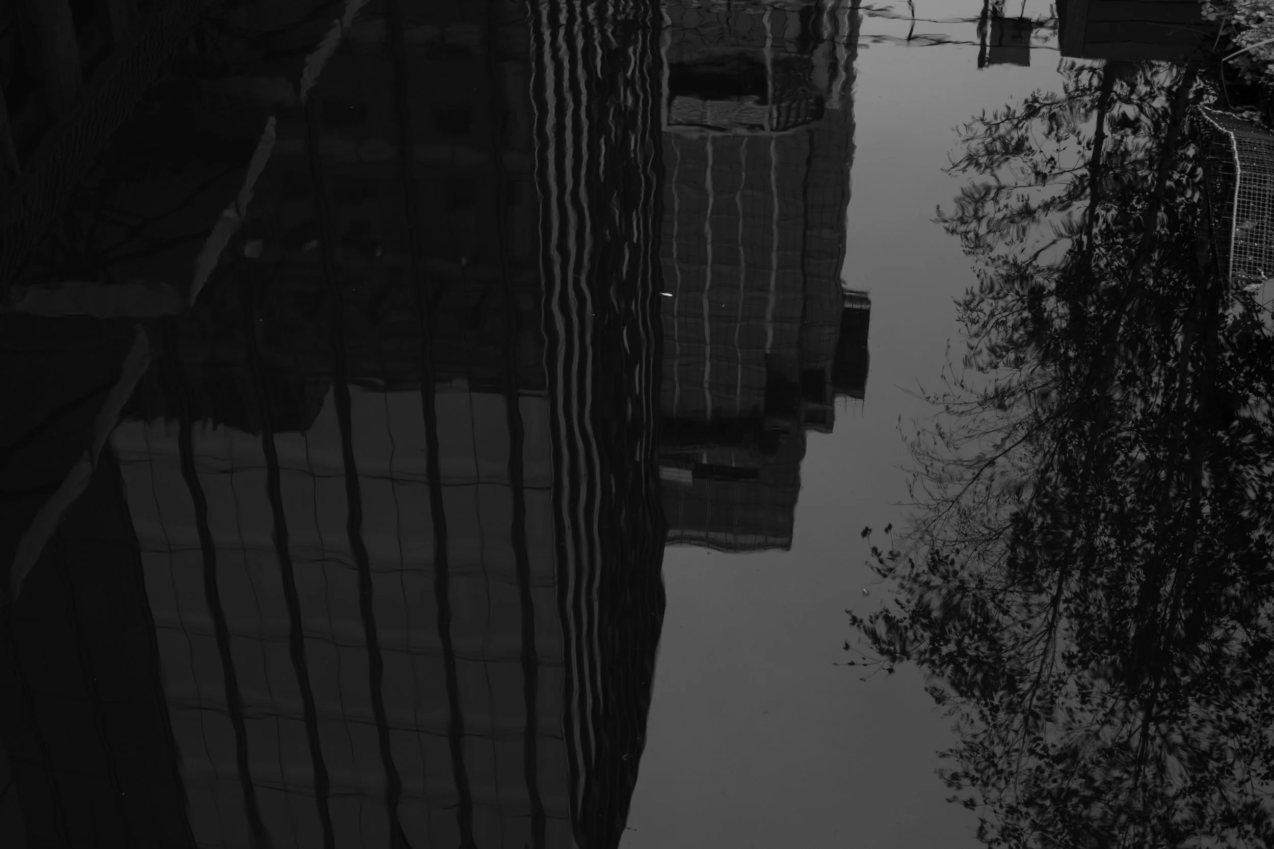 untitled-13.jpg