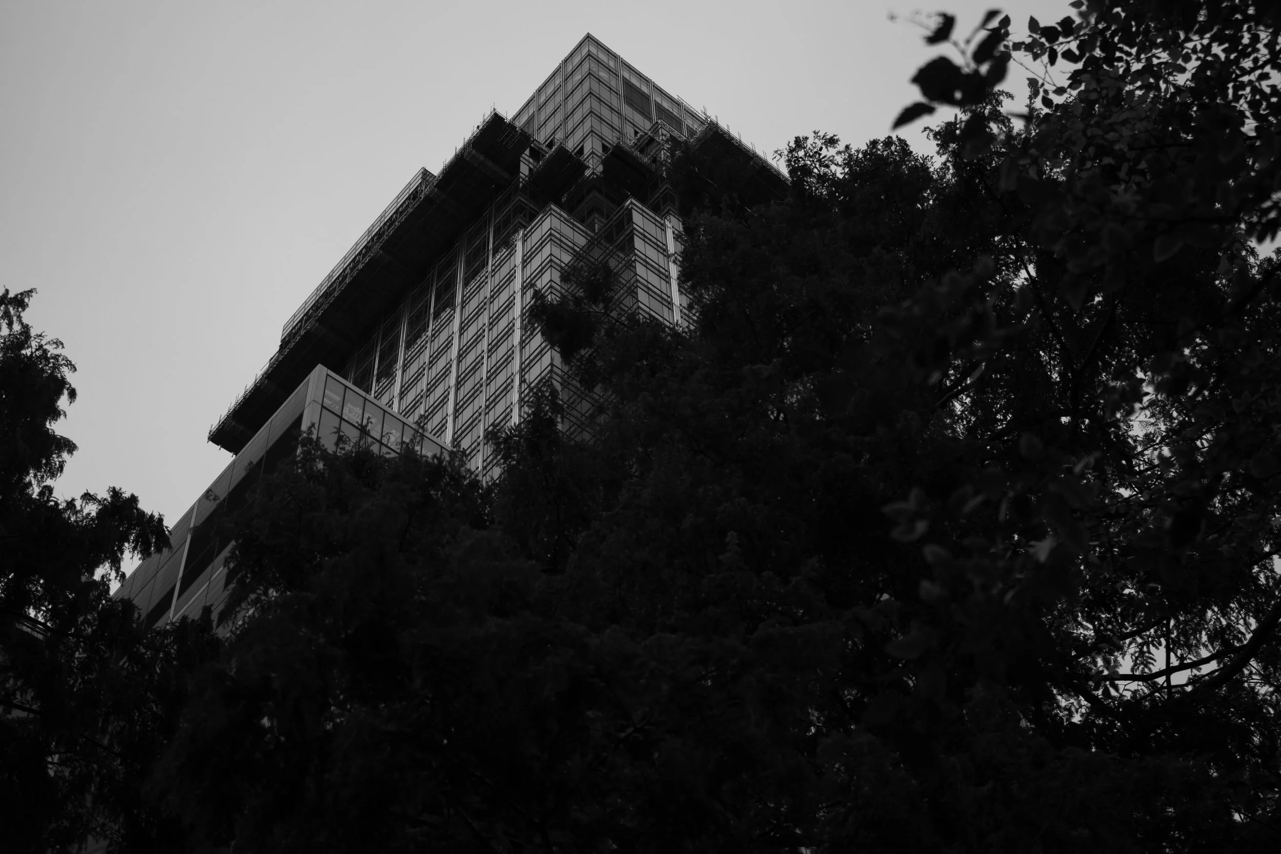 untitled-20.jpg