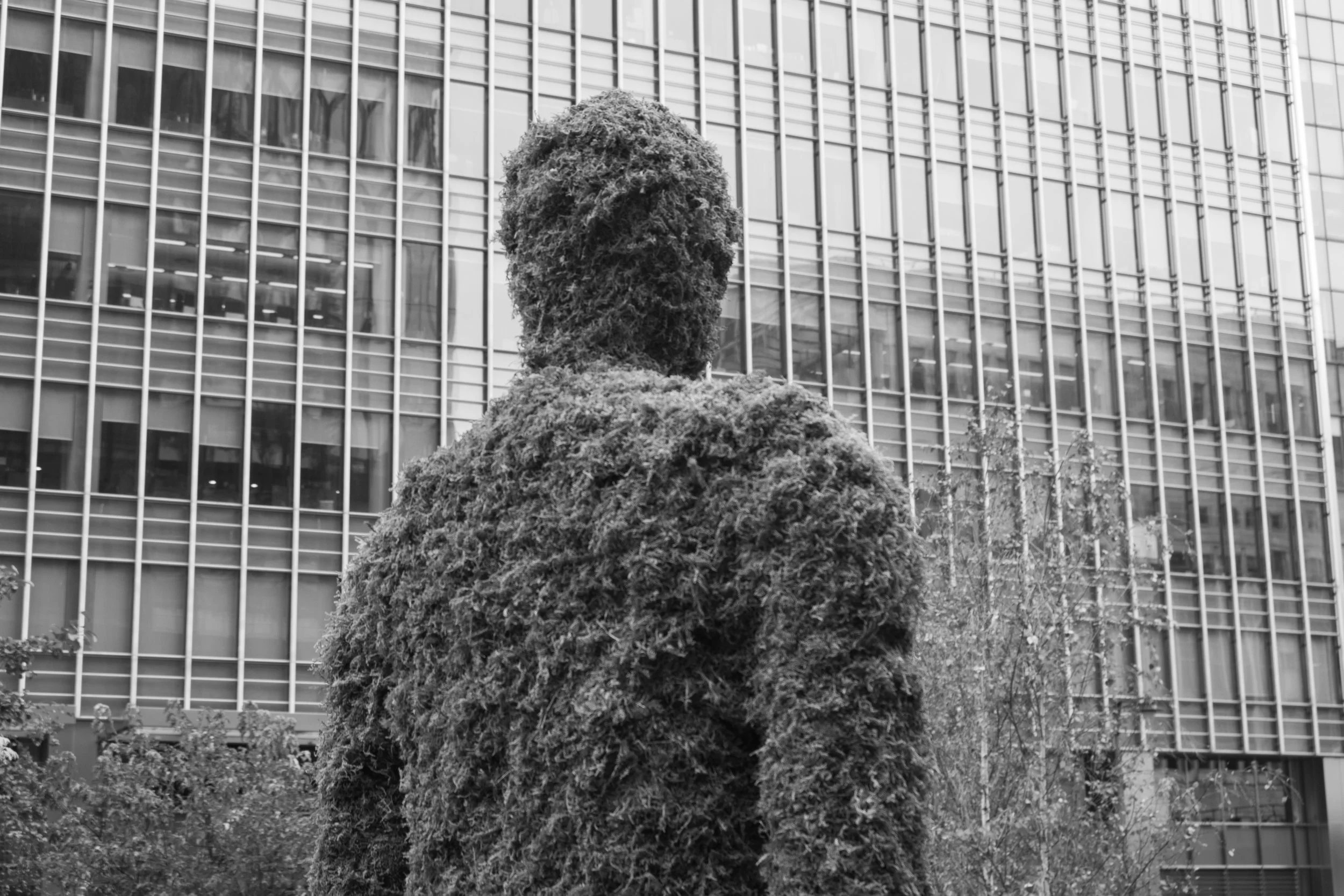 untitled-6.jpg