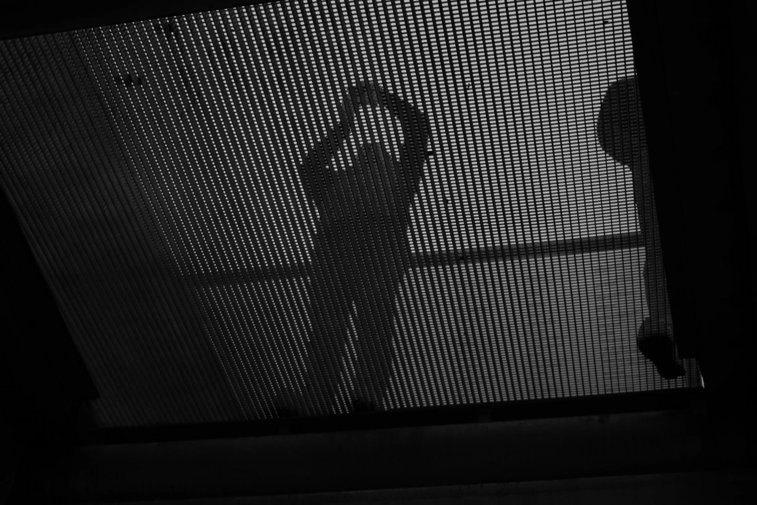 untitled-23.jpg