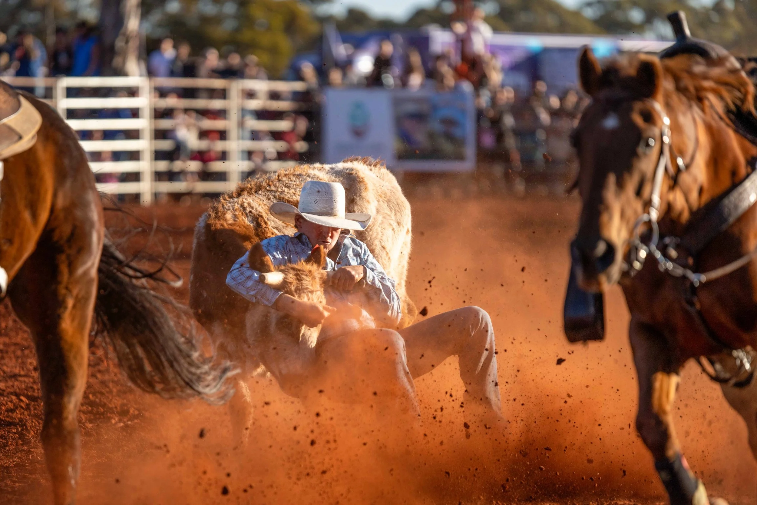 OBR25_SOBR25_TCP2844-Edit-2.jpg