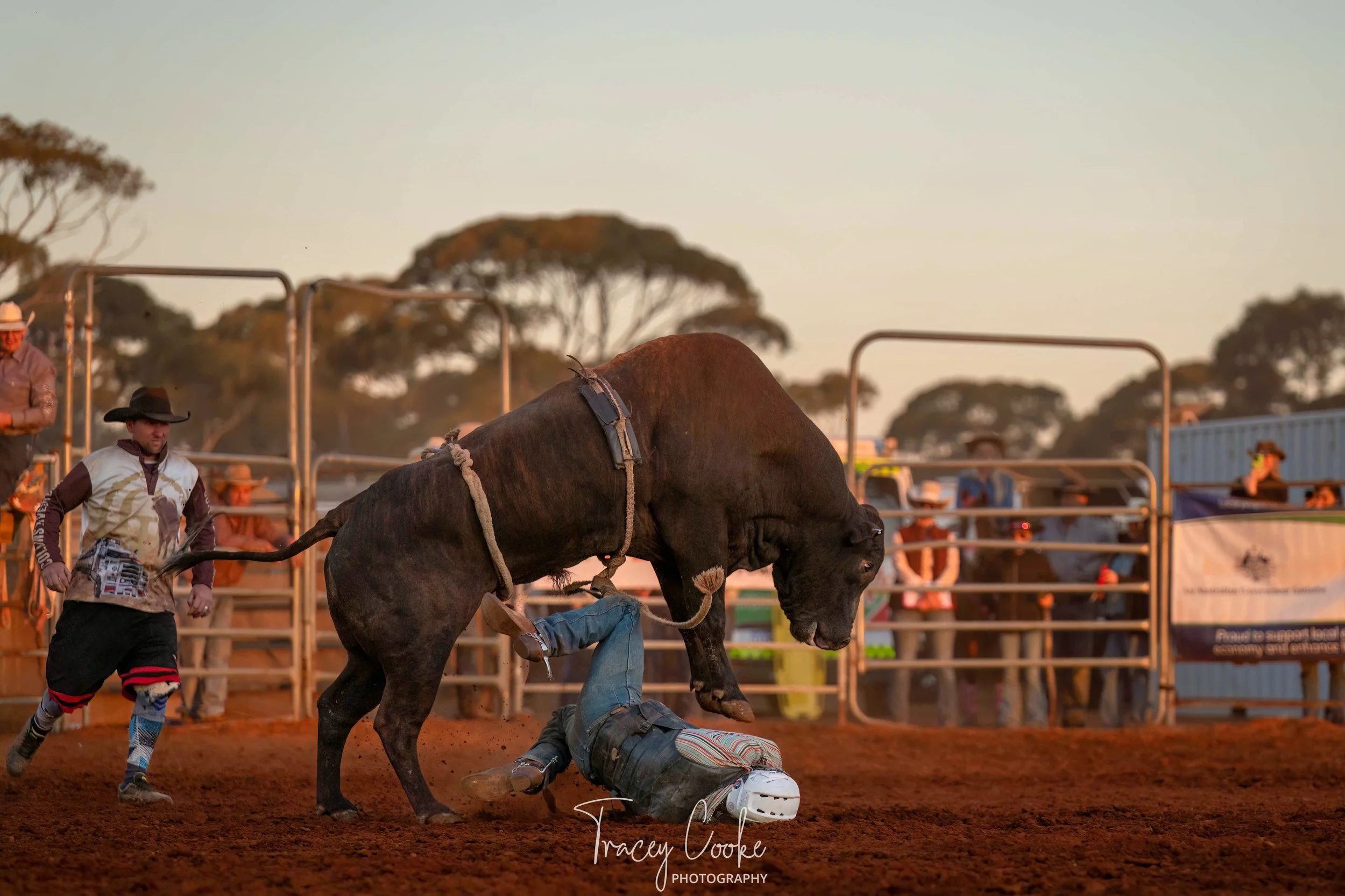OBR25_SOBR25_TCP3573-Edit.jpg