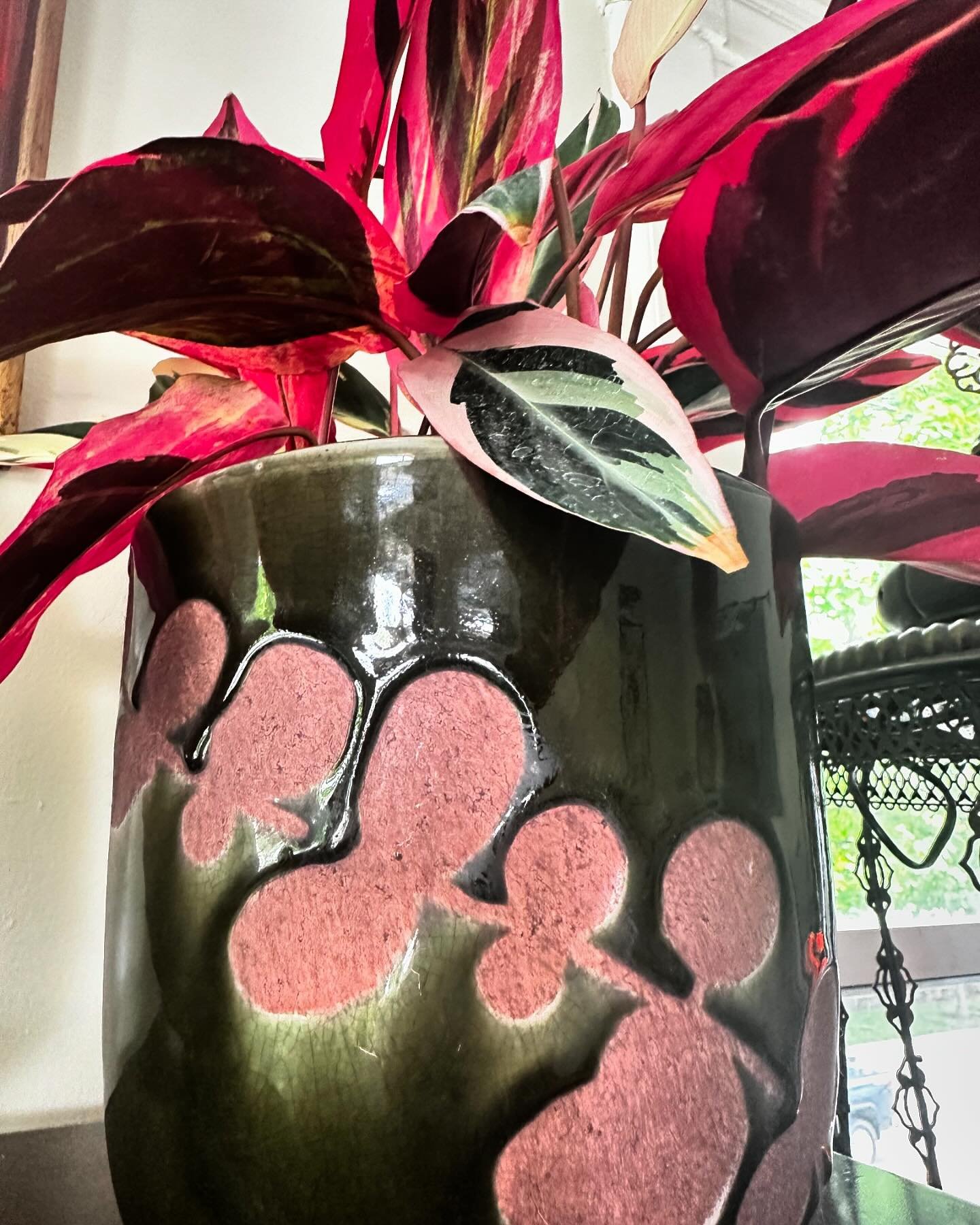 Appreciating beauty involves more than just a visual experience.

It&rsquo;s an emotional and intellectual journey. 

When we encounter something beautiful, whether it&rsquo;s a breathtaking landscape, a piece of art, or a plant it resonates deeply w