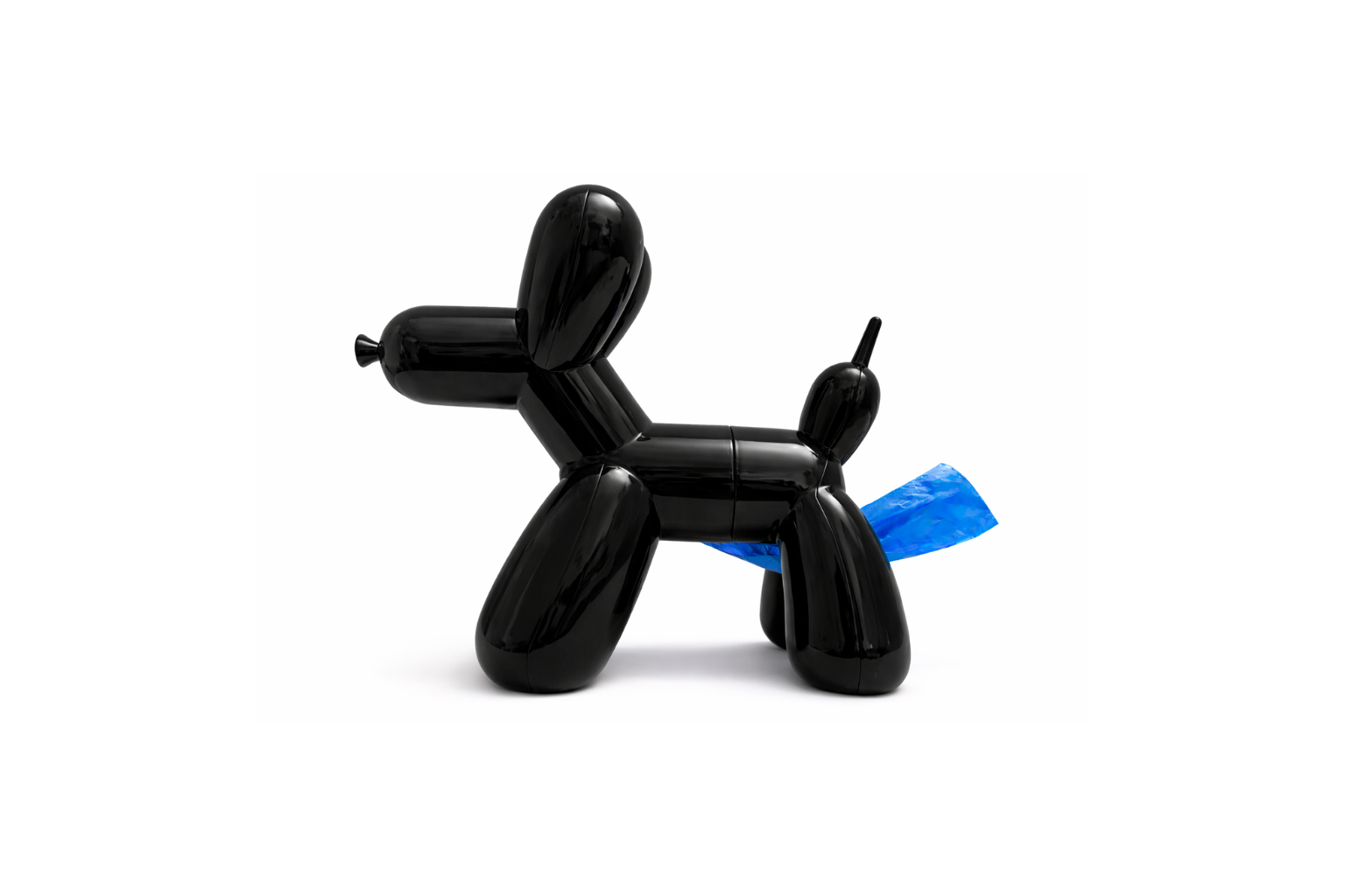 poodole® Dispenser (Black) + 1 Starter Roll of Waste Bags