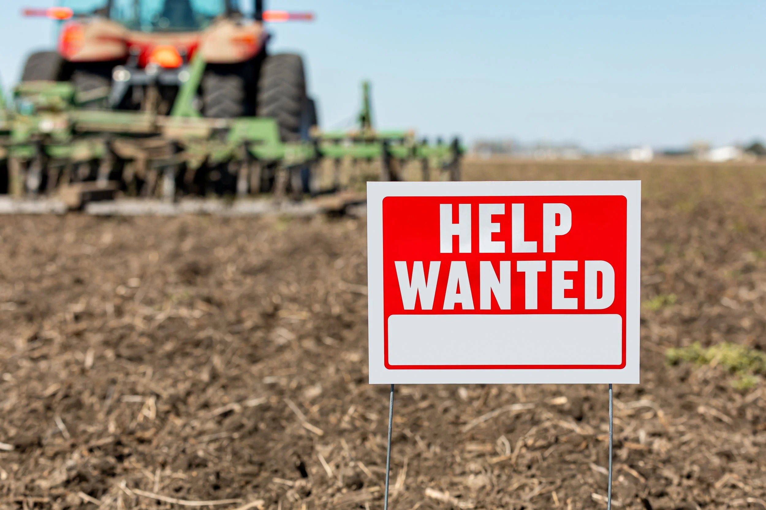 Labor Outlook for 2026