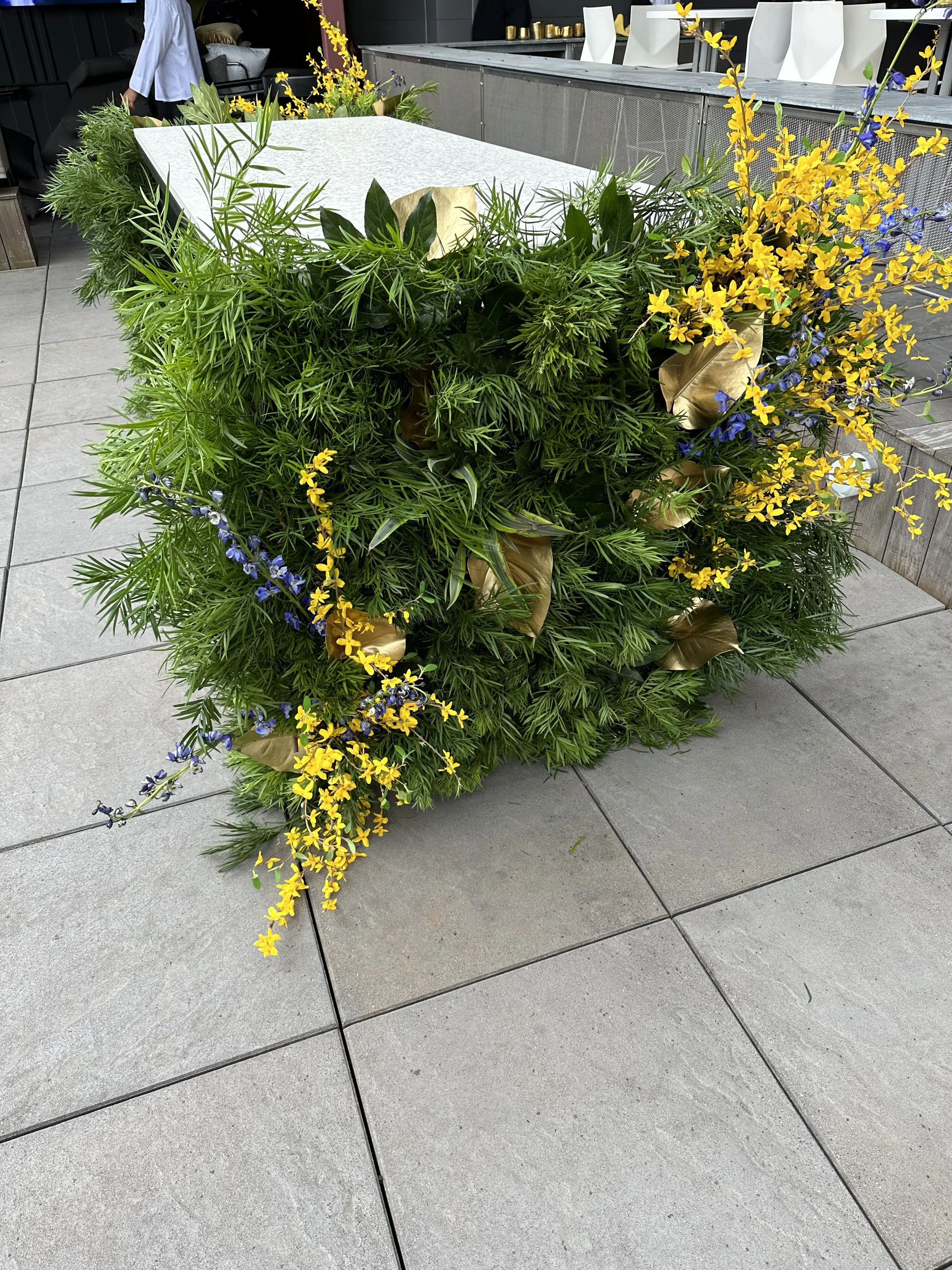 IMG_1654.jpeg